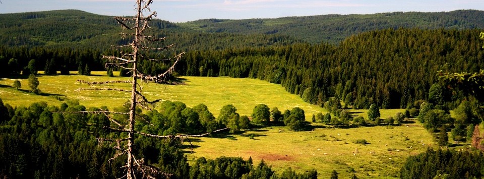 Banner číslo 5 pro oblast Plzeňský kraj