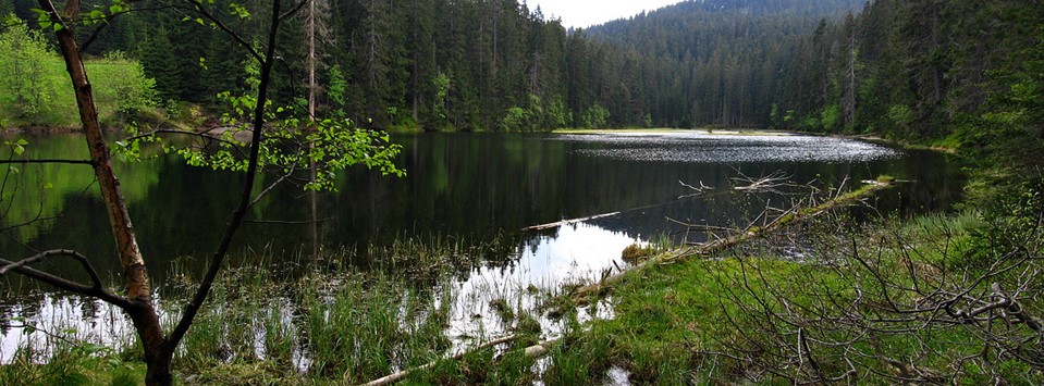 Banner číslo 5 pro oblast Jihočeský kraj